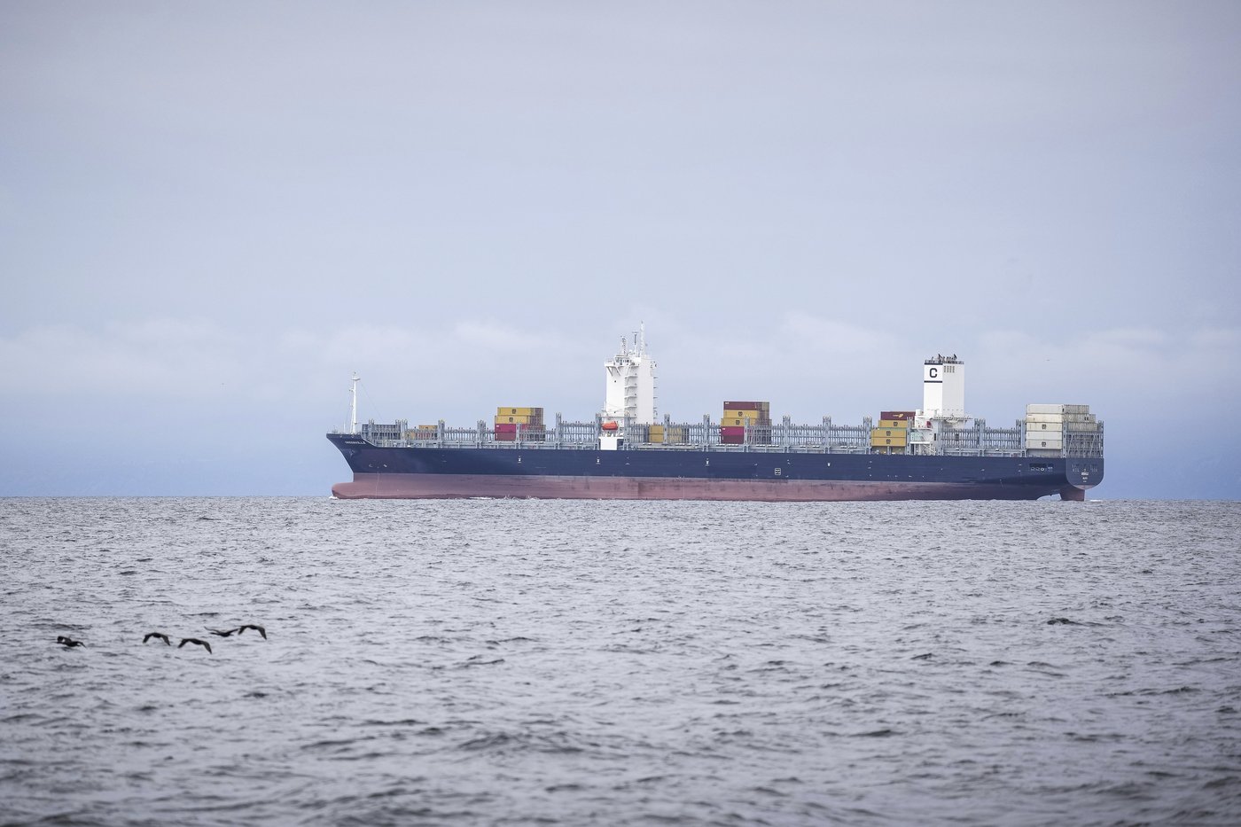 As Trump pares back ocean protections, California weighs expanding them | iNFOnews.ca