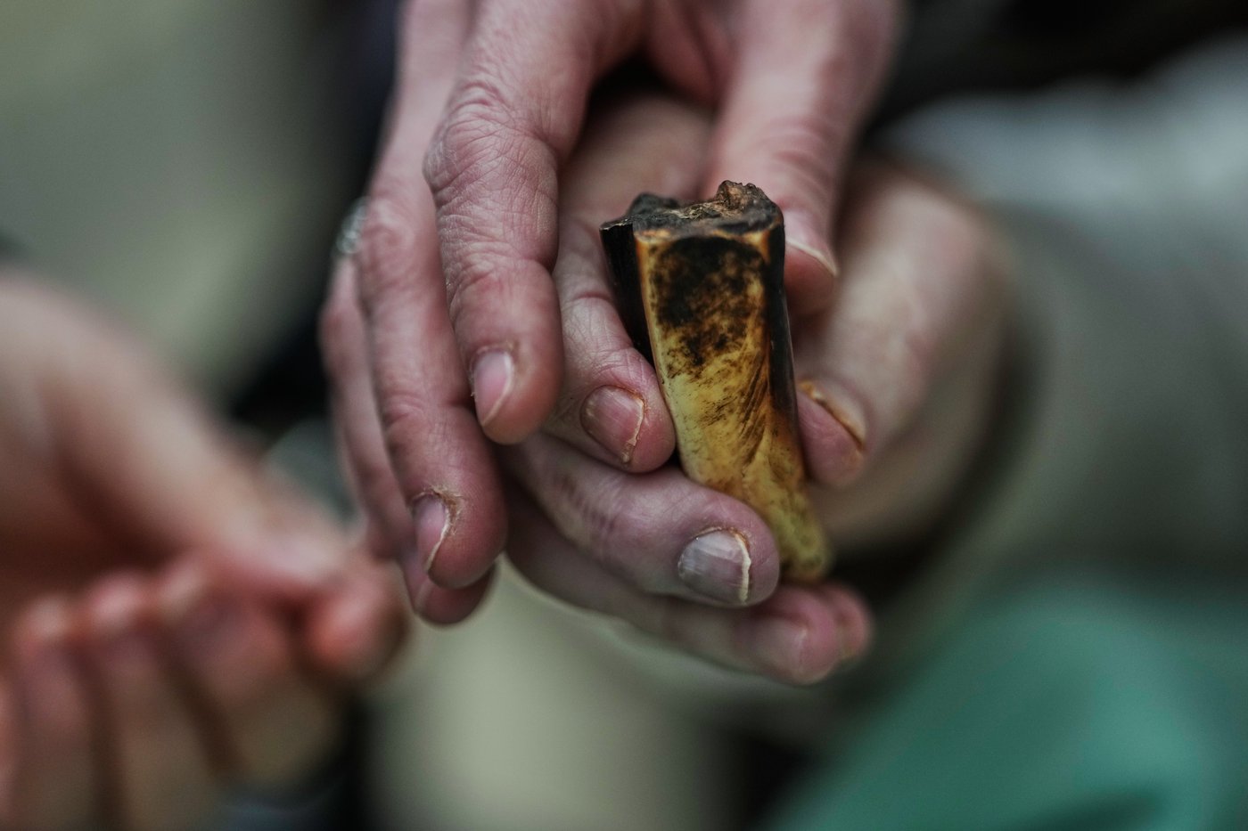 People living with dementia are often overlooked. This tour at the Berlin Zoo seeks to change that | iNFOnews.ca