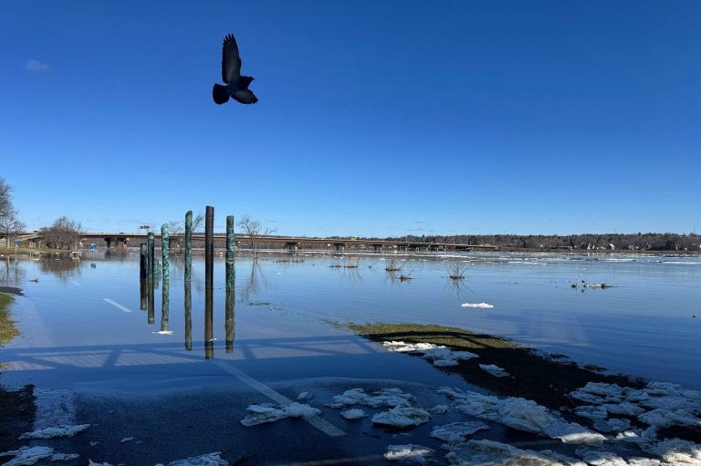 New Brunswick declares flood stage for Gagetown as Saint John River levels rise | iNFOnews.ca