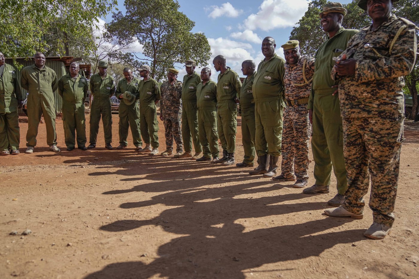 Kenya moves 50 elephants to a larger park, says it's a sign poaching is low | iNFOnews.ca Kenya moves 50 elephants to a larger park, says it's a sign poaching is low | iNFOnews.ca
