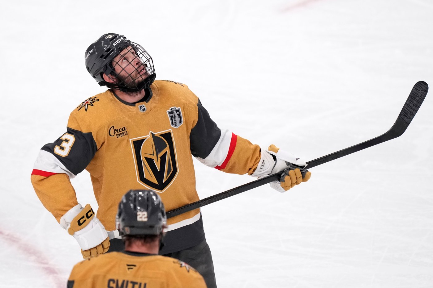 Golden Knights' McNabb earns raves after playing with two dozen stitches from puck to face | iNFOnews.ca