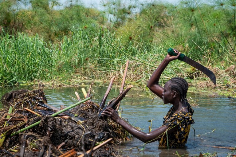 South Sudanese community fights to save land from relentless flooding worsened by climate change | iNFOnews.ca