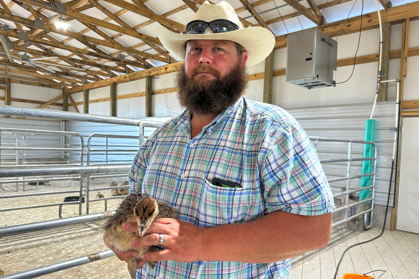 A Kentucky man with a meat allergy was craving a burger. So he got into ostrich farming | iNFOnews.ca