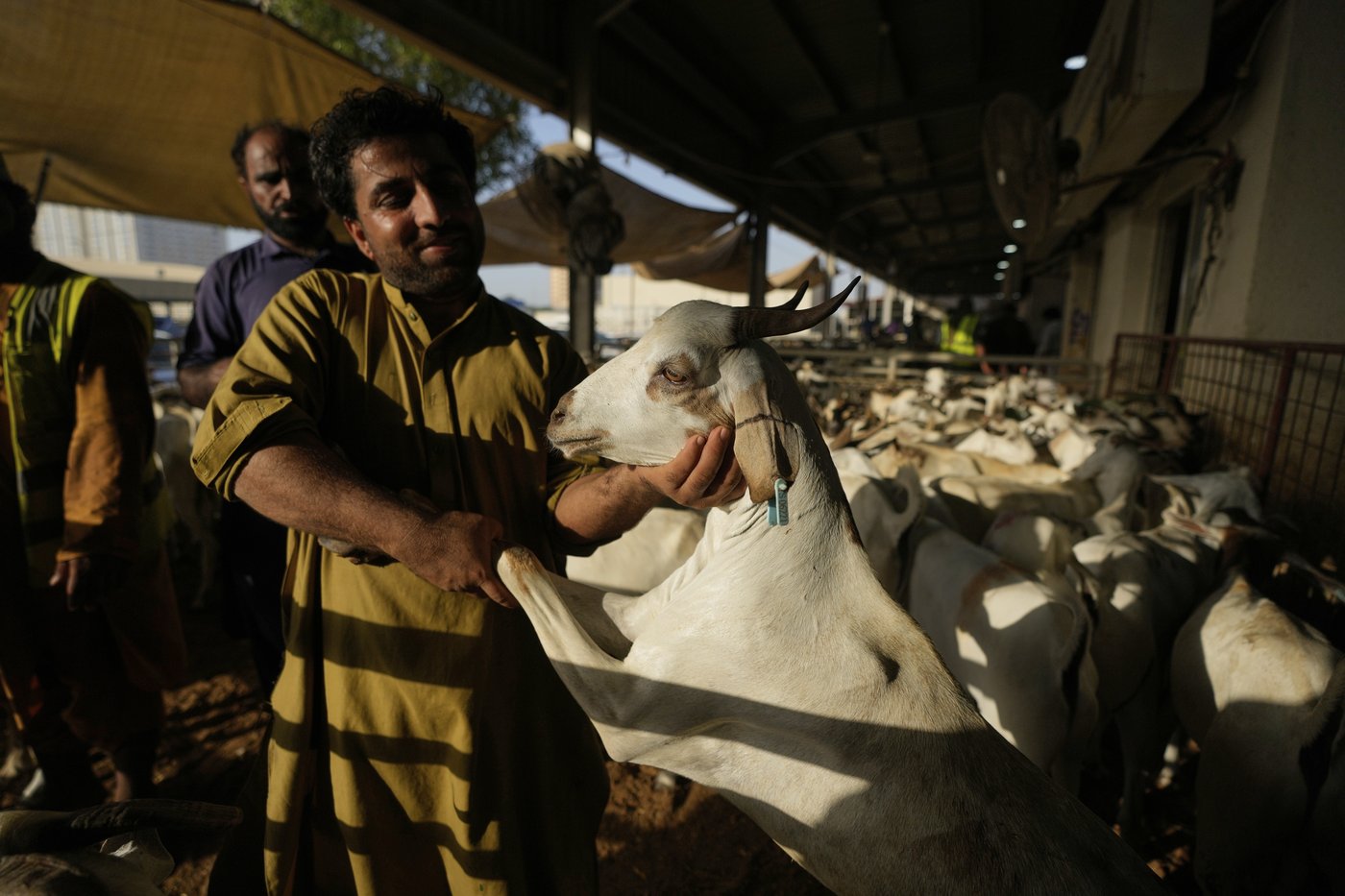 PHOTO COLLECTION: Eid al-Adha | iNFOnews.ca