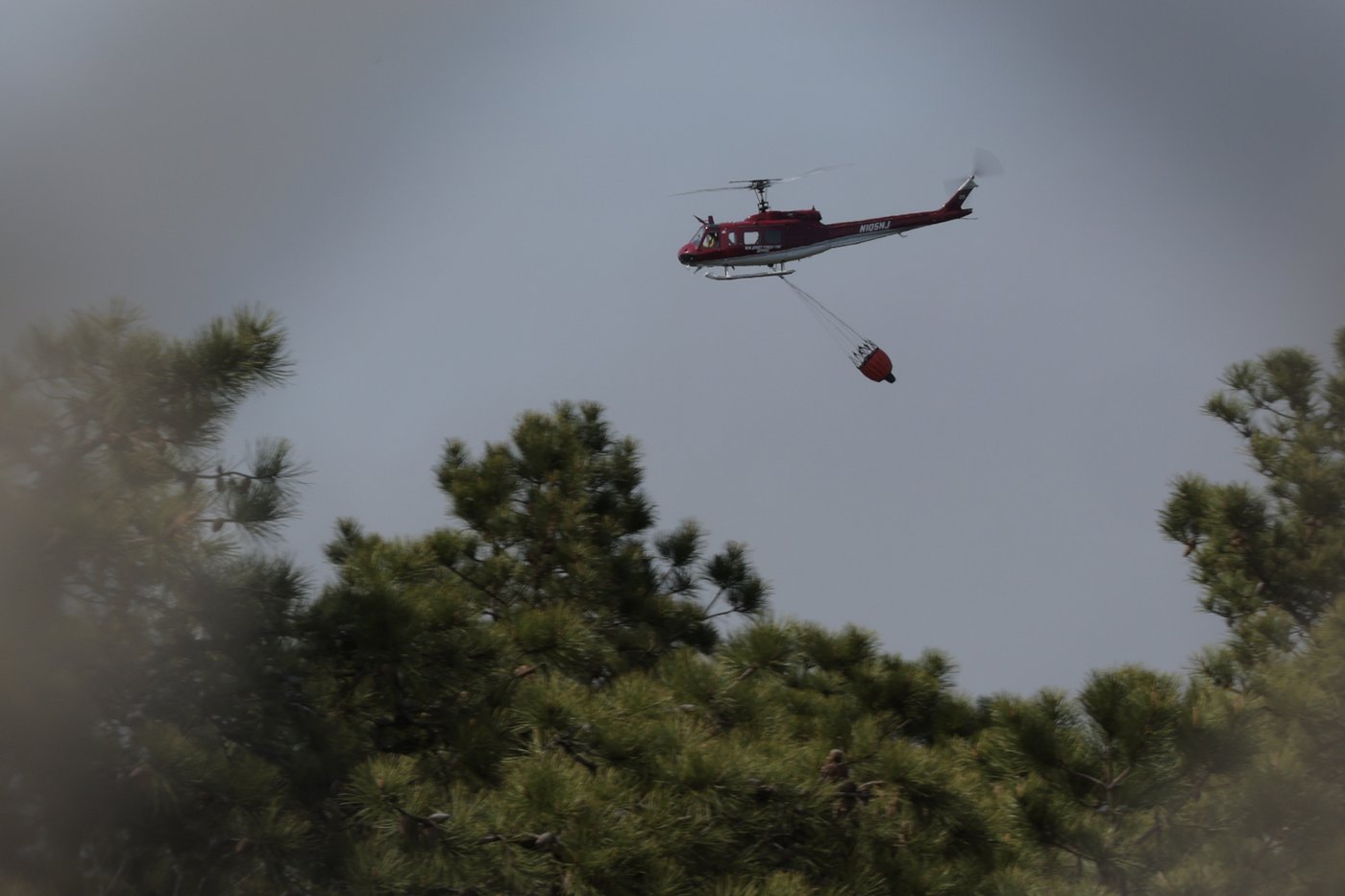 Man charged with arson after authorities say he sparked New Jersey Pine Barrens fire | iNFOnews.ca