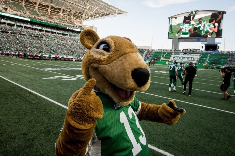 Saskatchewan Roughriders seek someone who is energetic, keen to dress like rodent | iNFOnews.ca