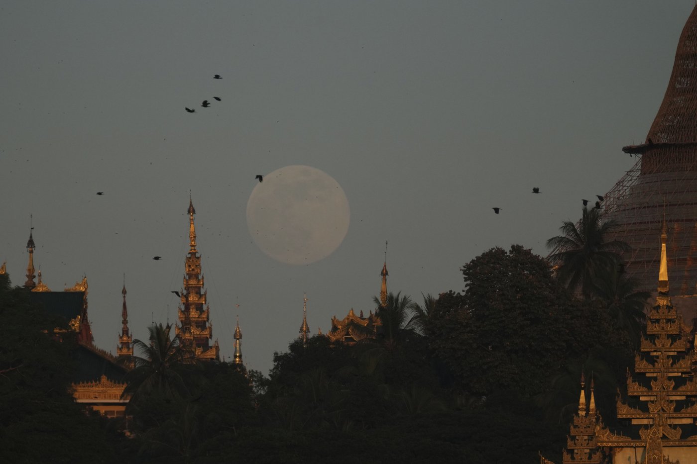 PHOTO COLLECTION: Supermoon | iNFOnews.ca PHOTO COLLECTION: Supermoon | iNFOnews.ca