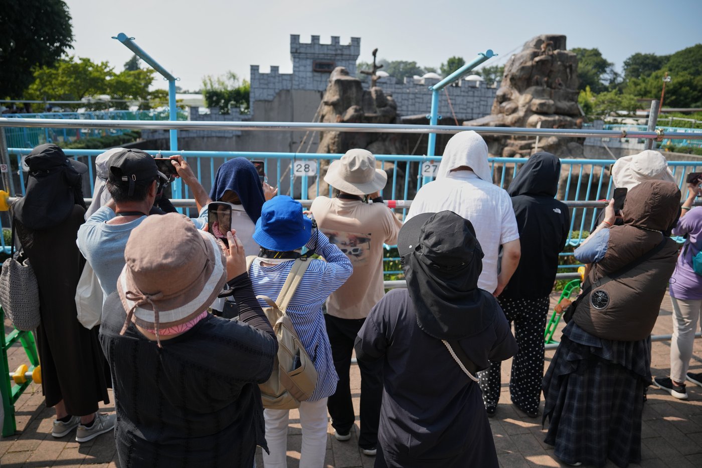 Japan’s monkey sensation Punch turns 1, drawing a flood of well-wishing messages, in photos | iNFOnews.ca
