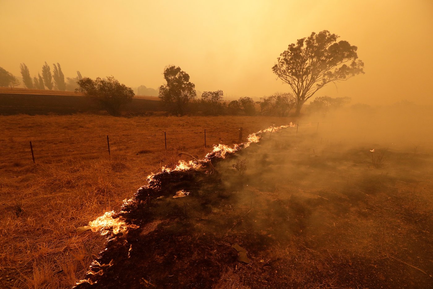 Heat waves that spark damaging droughts are happening more frequently, study finds | iNFOnews.ca