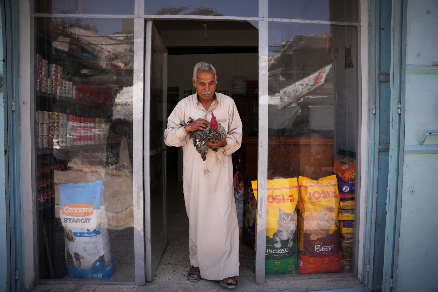Photos of a rare veterinary clinic still open in war-battered Gaza | iNFOnews.ca