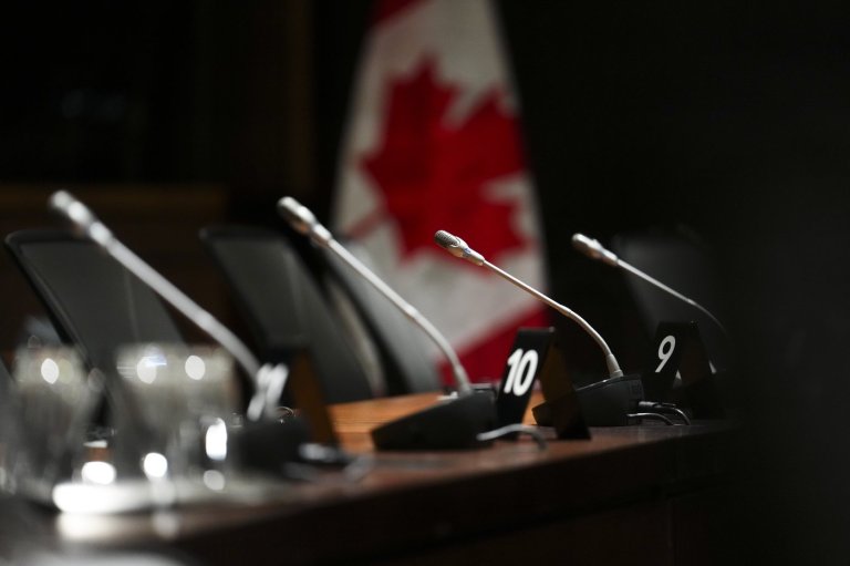 Bill to criminalize forced or coerced sterilization could have unintended consequences: physicians | iNFOnews.ca