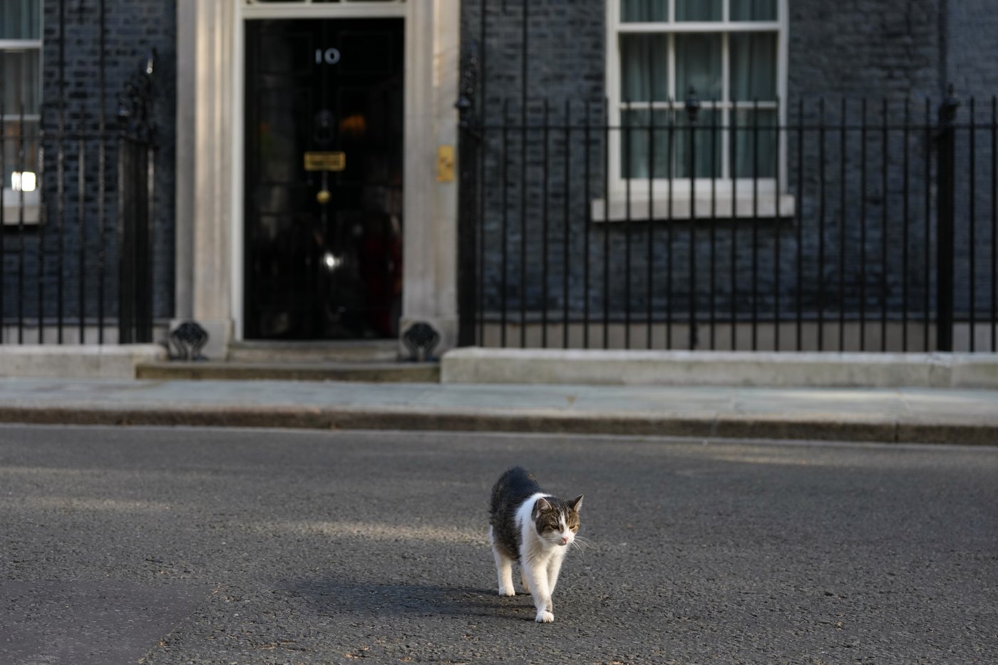 The top photos of the day by AP's photojournalists | iNFOnews.ca