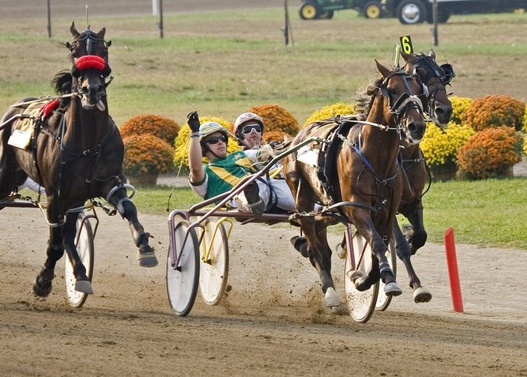 Jamieson drives Redland Rocket Man to victory in Grade 1 Little Brown Jug | iNFOnews.ca
