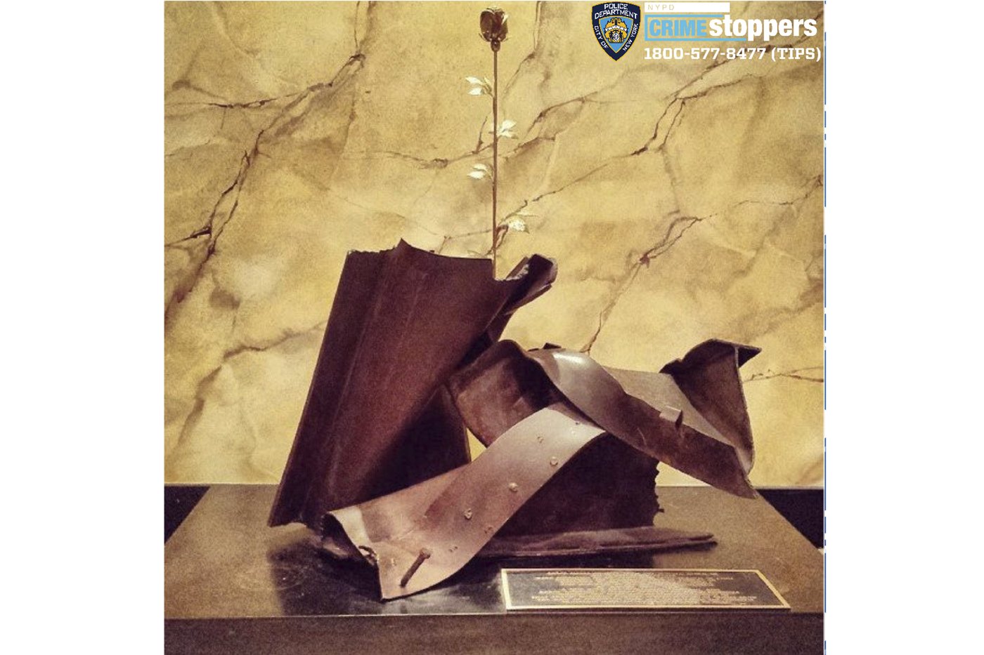 Gold-plated rose stolen from NYC 9/11 memorial honoring influential pastor | iNFOnews.ca