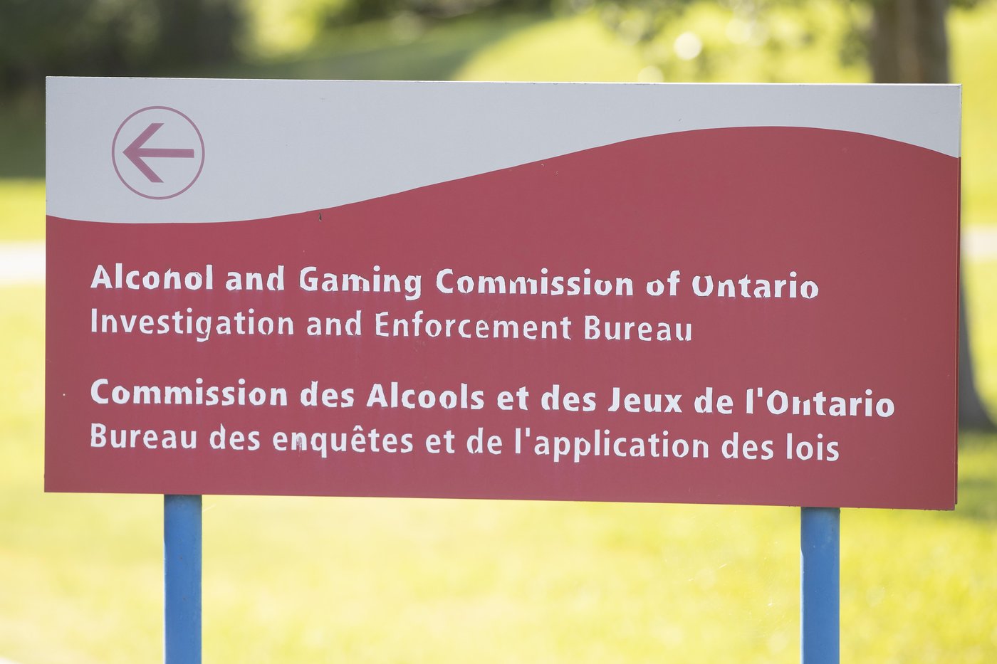 AGCO concludes there was no wrongdoing in Aug. 4 race at Fort Erie Racetrack | iNFOnews.ca AGCO concludes there was no wrongdoing in Aug. 4 race at Fort Erie Racetrack | iNFOnews.ca