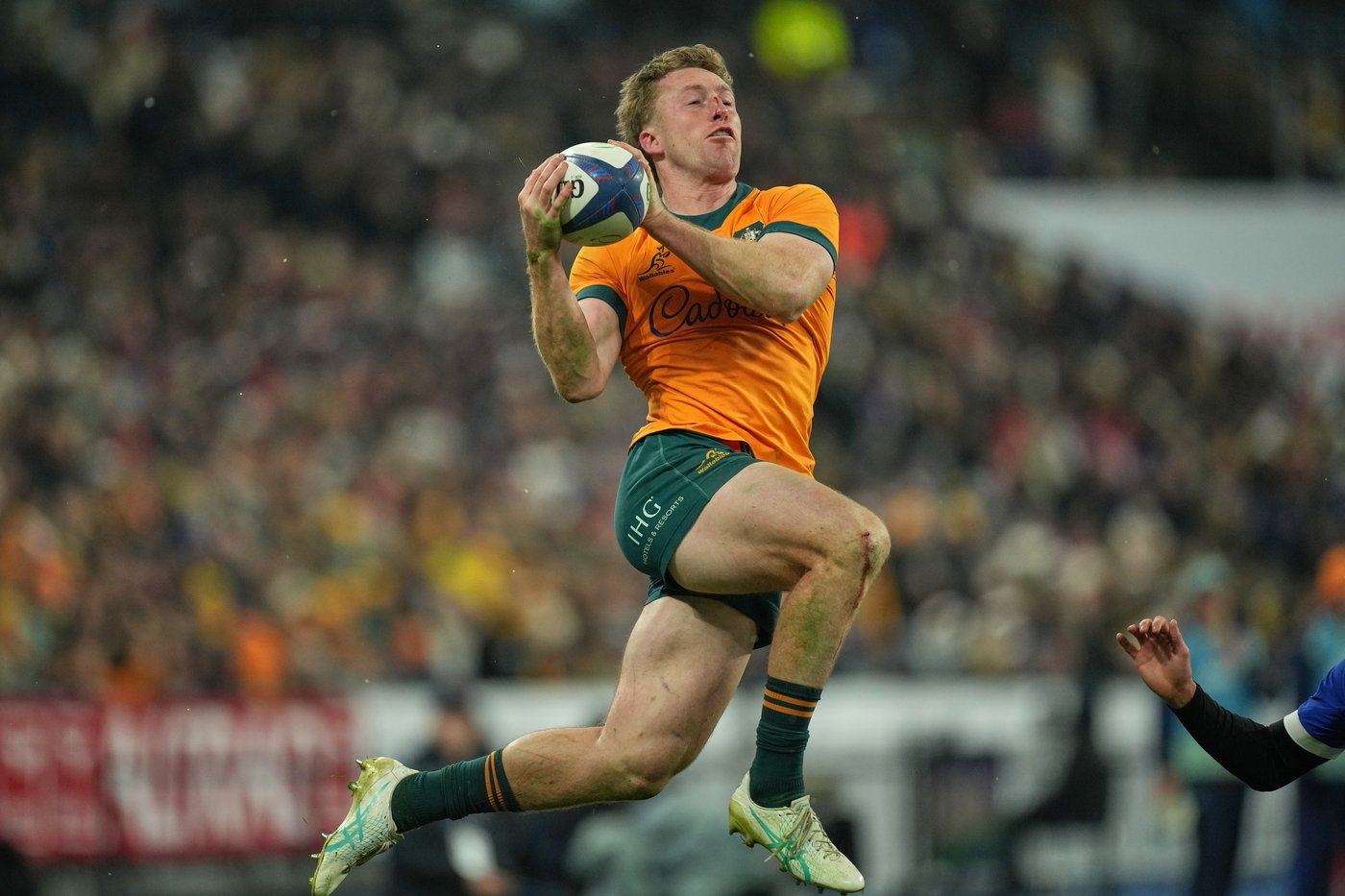 Australia and New Zealand drawn into same group at 2027 Rugby World Cup | iNFOnews.ca