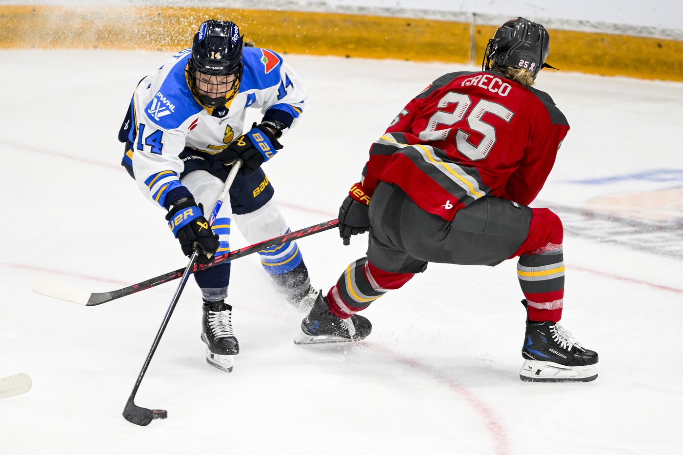 Sceptres sign Fast, Kirk to three-year contract ahead of PWHL expansion process | iNFOnews.ca Sceptres sign Fast, Kirk to three-year contract ahead of PWHL expansion process | iNFOnews.ca