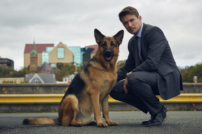 Citytv to replace 'Jimmy Kimmel Live!' with 'Hudson & Rex' | iNFOnews.ca
