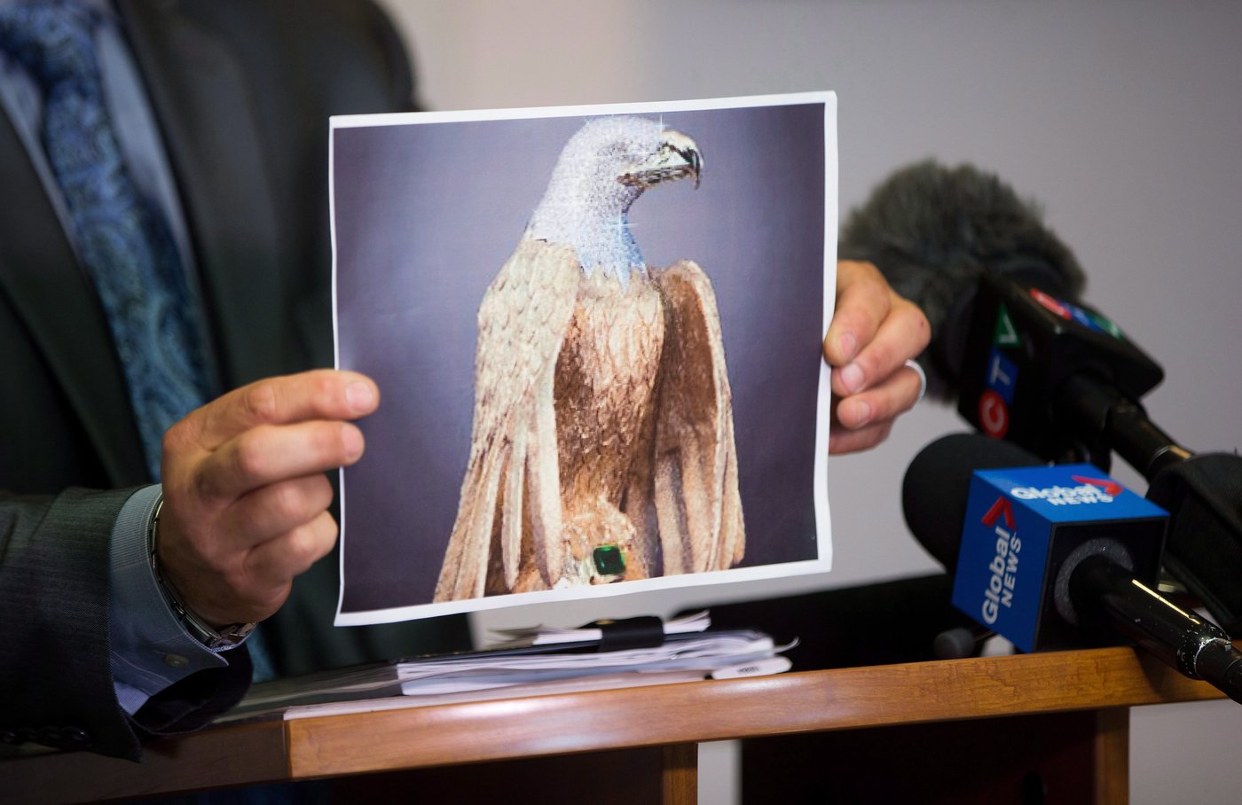 B.C. judge allows eagle sculpture insurance case despite 'inexcusable' delays | iNFOnews.ca B.C. judge allows eagle sculpture insurance case despite 'inexcusable' delays | iNFOnews.ca