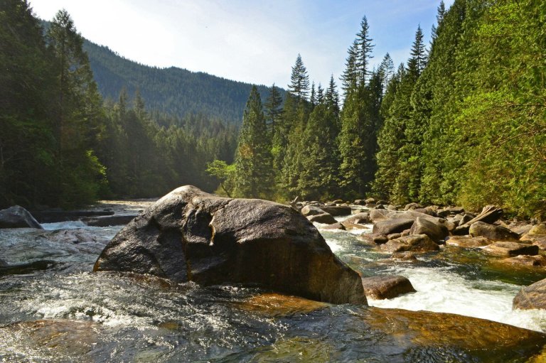 Graffiti memorial in Golden Ears Park 'not appropriate' tribute: BC Parks | iNFOnews.ca