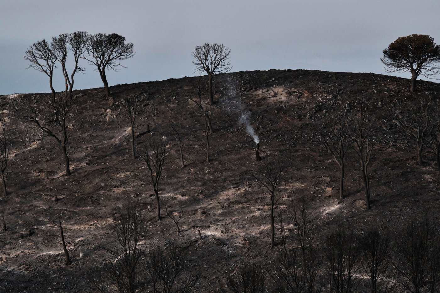 Hundreds of firefighters battle wildfire in southern Spain that killed at least 12 | iNFOnews.ca Hundreds of firefighters battle wildfire in southern Spain that killed at least 12 | iNFOnews.ca