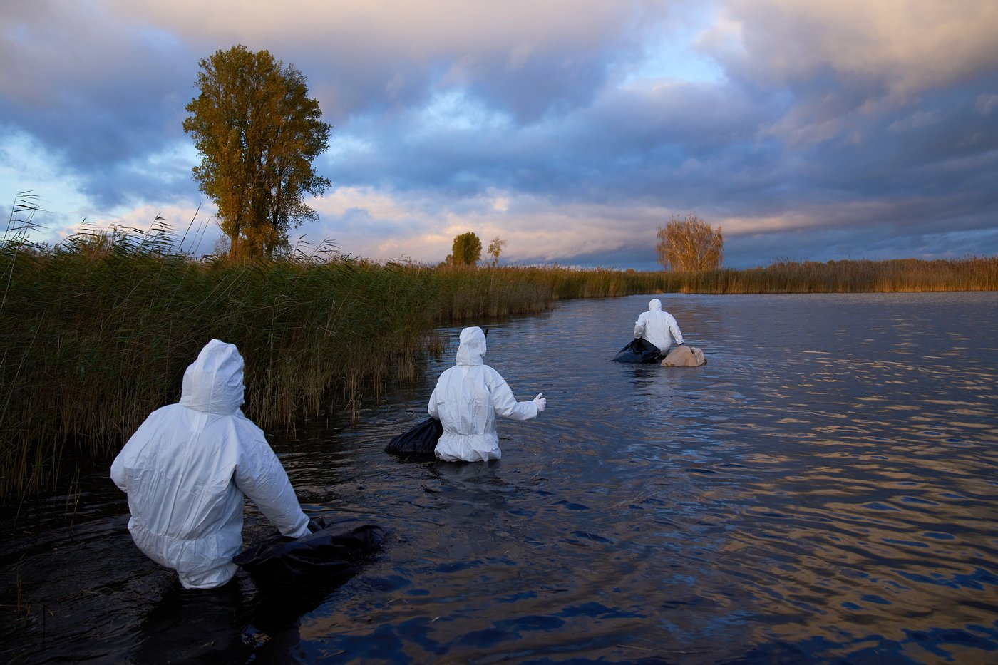 Bird flu hits migrating cranes hard in Germany as the virus flares up | iNFOnews.ca