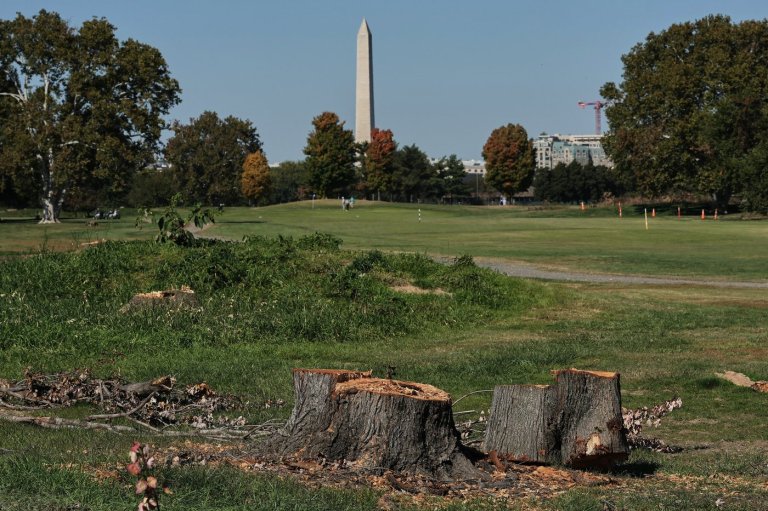 Judge extends court-ordered block on Trump’s renovation plans for public golf course in Washington | iNFOnews.ca