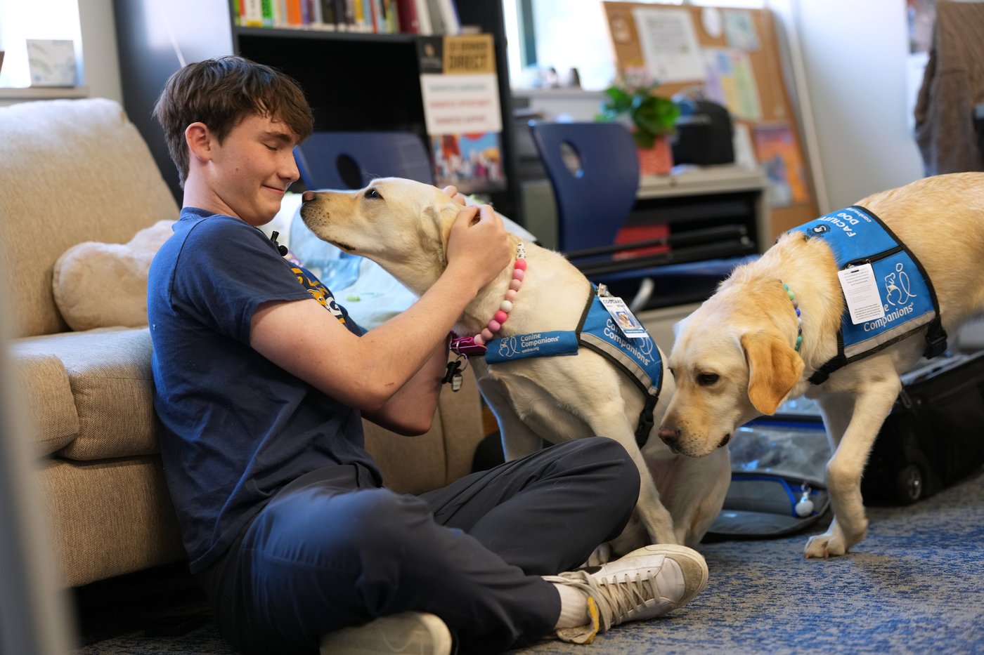 Dogs bring calm and joy to students following shooting at Colorado high school | iNFOnews.ca Dogs bring calm and joy to students following shooting at Colorado high school | iNFOnews.ca