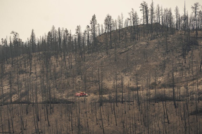 Relief in Summerland, B.C., as fire evacuations end, but 150 structures damaged, lost | iNFOnews.ca