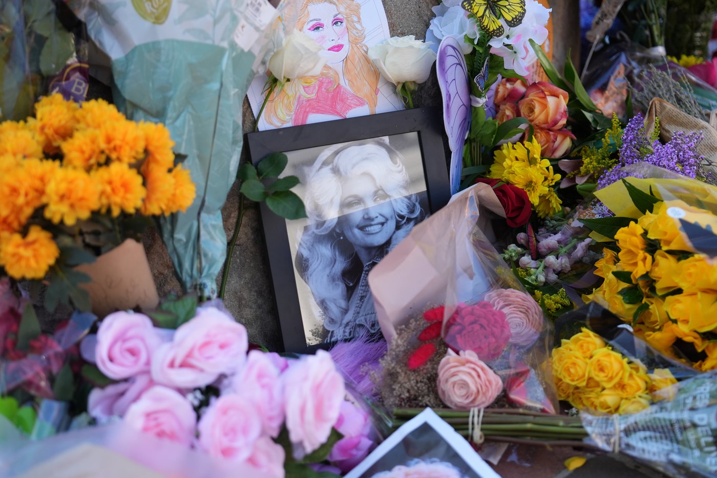 Dolly Parton's love of the Great Smoky Mountains helped transform her hometown | iNFOnews.ca