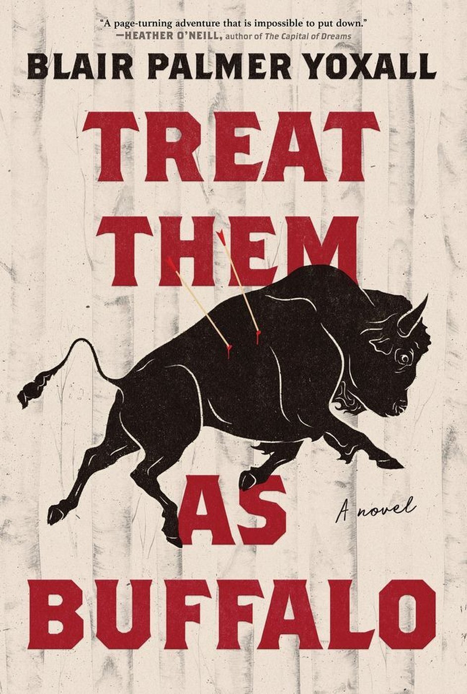 Four debut novels among the Writers' Trust fiction short list | iNFOnews.ca