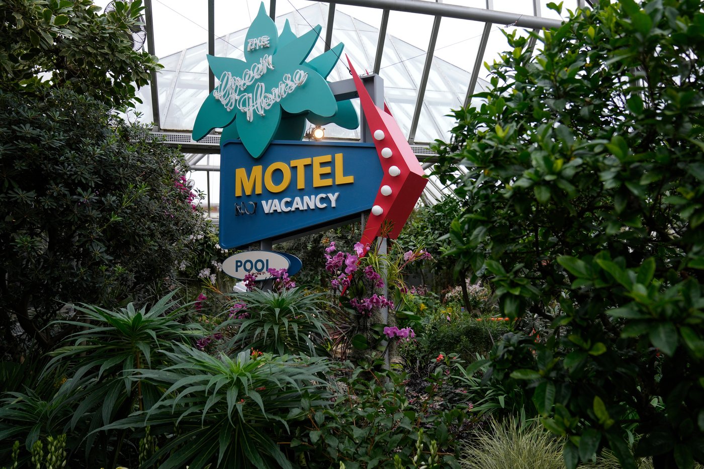 Photos of retro '70s-themed orchids show in Chicago | iNFOnews.ca