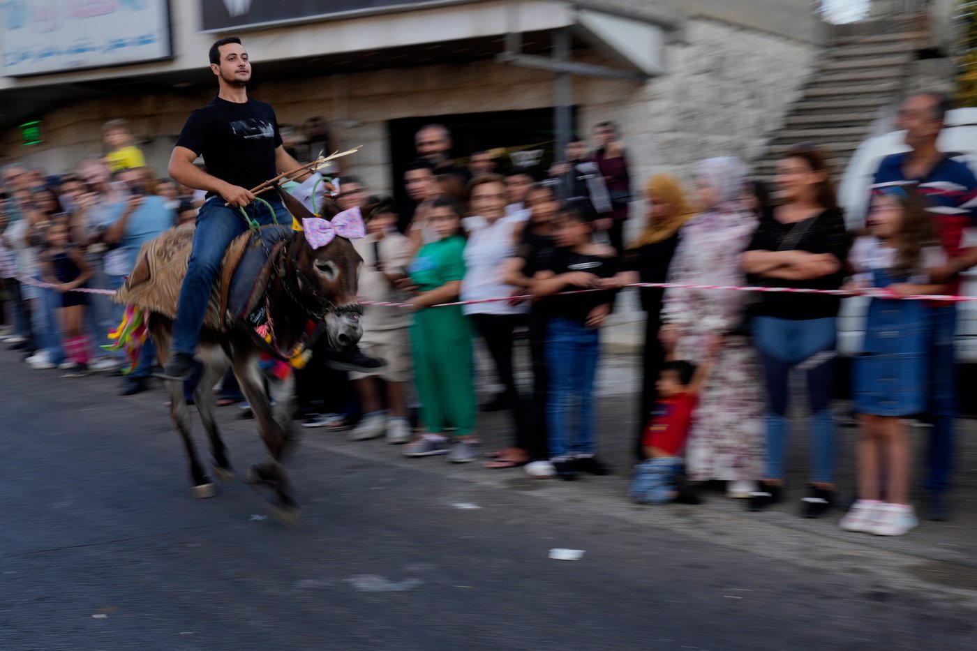 Donkeys don bows and sunglasses for a summer race in southern Lebanon, in photos | iNFOnews.ca