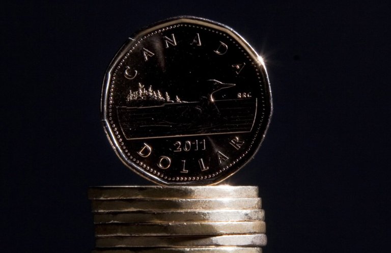 Financial transactions watchdog steps up action against money service businesses | iNFOnews.ca
