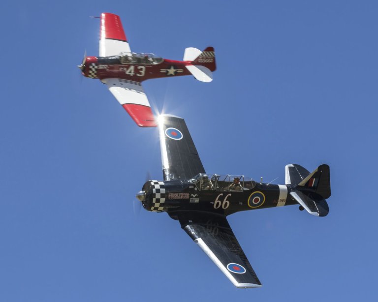 Air race championship takes flight in New Mexico's Roswell | iNFOnews.ca