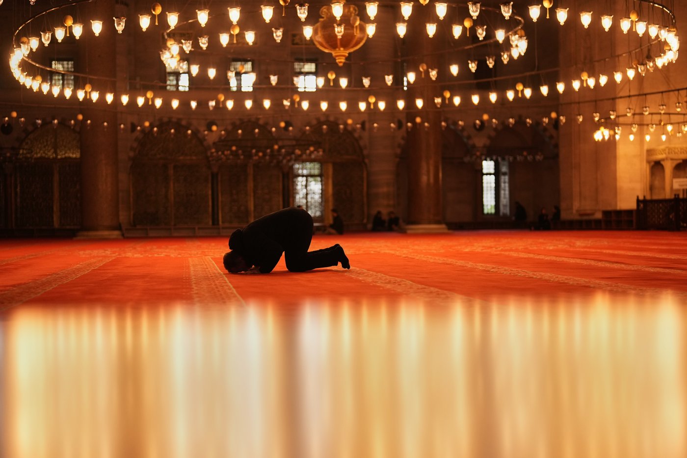 The top photos of the day by AP's photojournalists | iNFOnews.ca