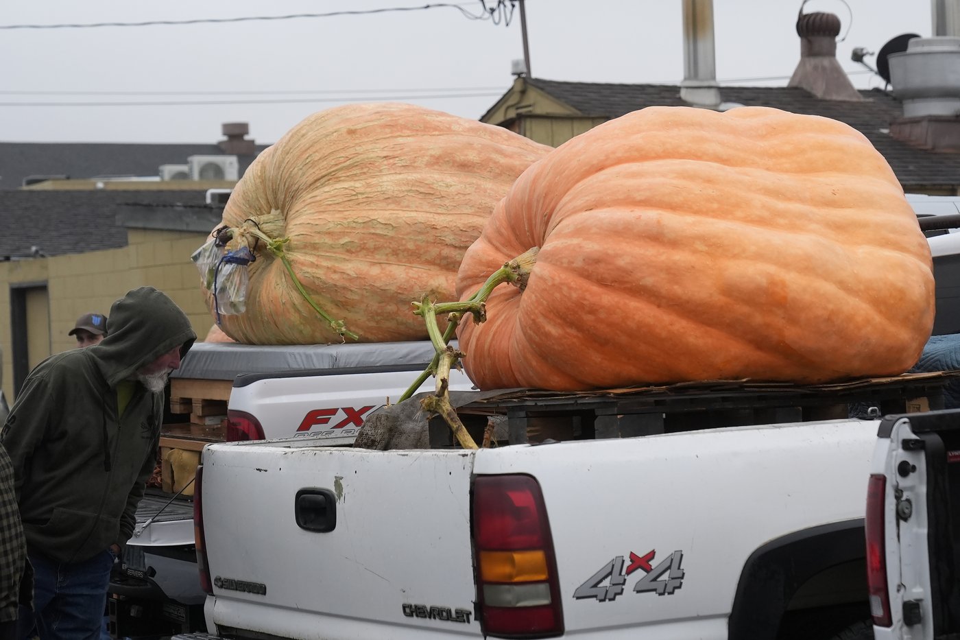 Pumpkin weighing 2,471 pounds wins California contest | iNFOnews.ca