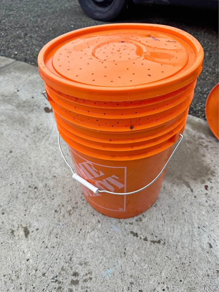 Why a Kamloops woman keeps 25,000 worms in her home | iNhome Why a Kamloops woman keeps 25,000 worms in her home | iNhome