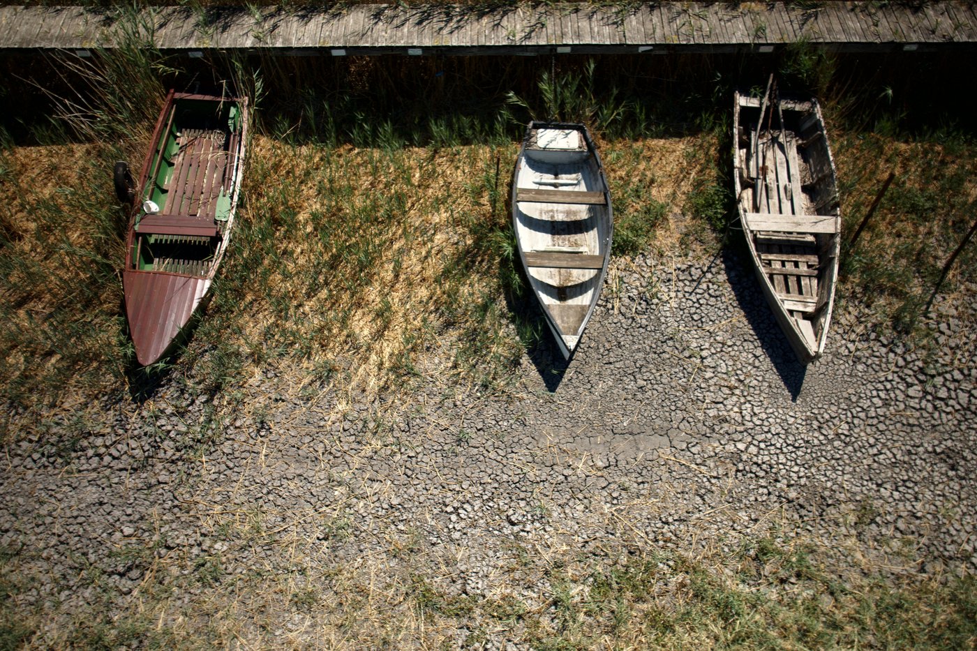 Hungary drained its waters for generations. Now drought is exposing the cost | iNFOnews.ca Hungary drained its waters for generations. Now drought is exposing the cost | iNFOnews.ca