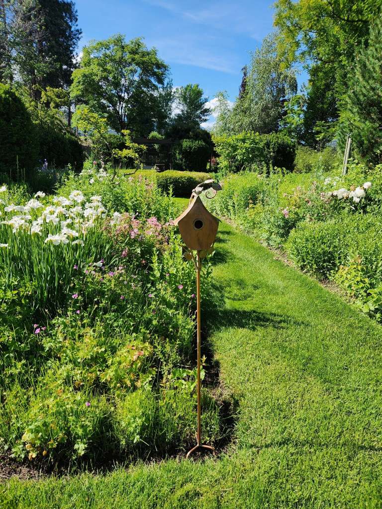 iN PHOTOS: Stunning Kelowna garden reopens to public after years of restoration | iNwine