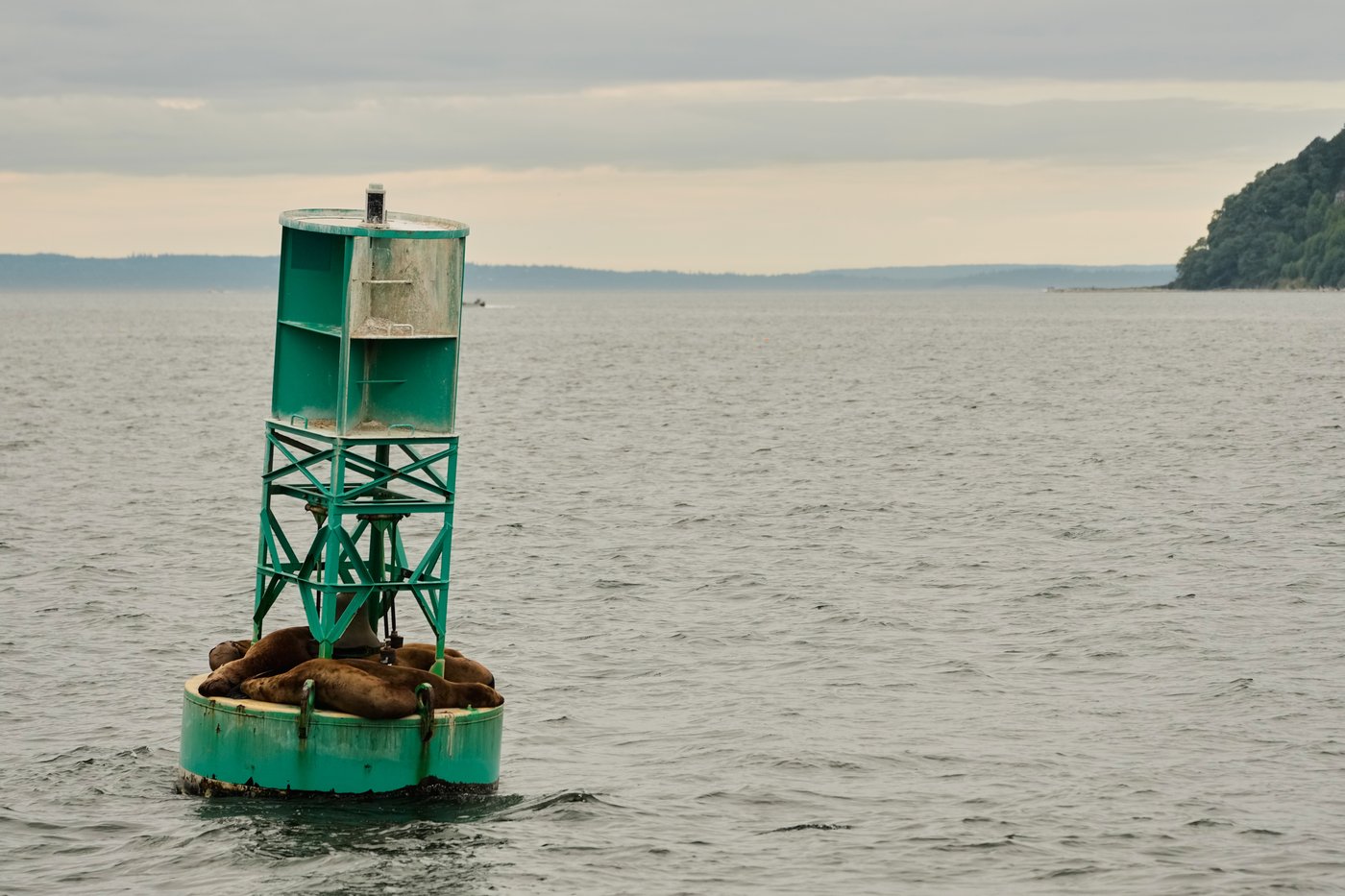 In the news today: Oct. 7 anniversary, Tumbler Ridge details, Canadian buoy sets sail | iNFOnews.ca