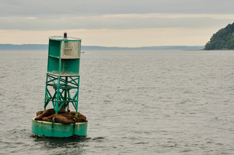 Canadian buoy drifts across Atlantic, washes up on shore of Irish island | iNFOnews.ca