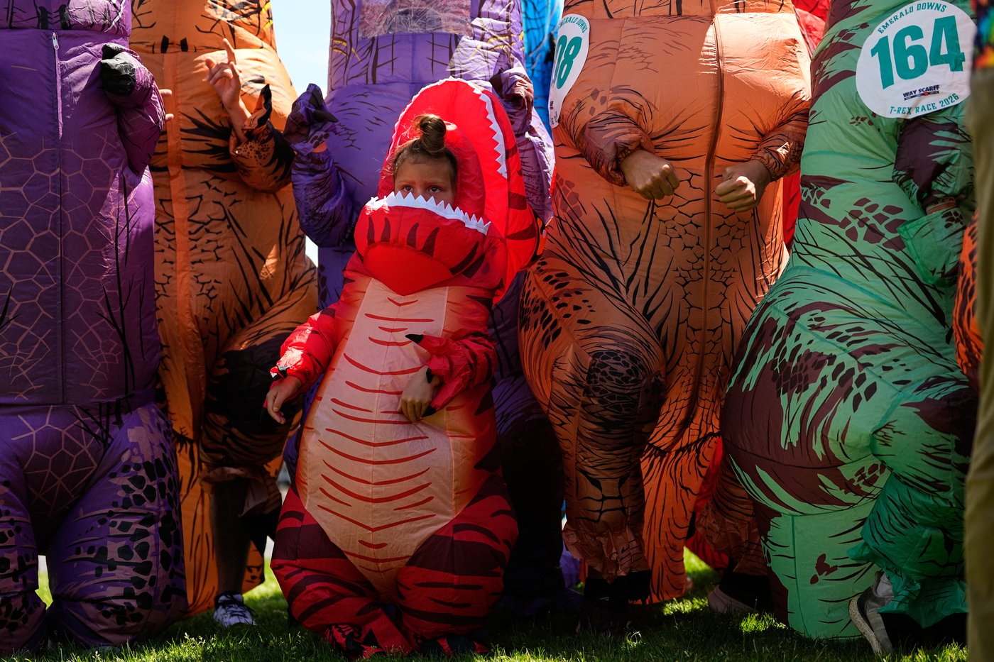 Inflatable dinosaurs race at Emerald Downs, in photos | iNFOnews.ca