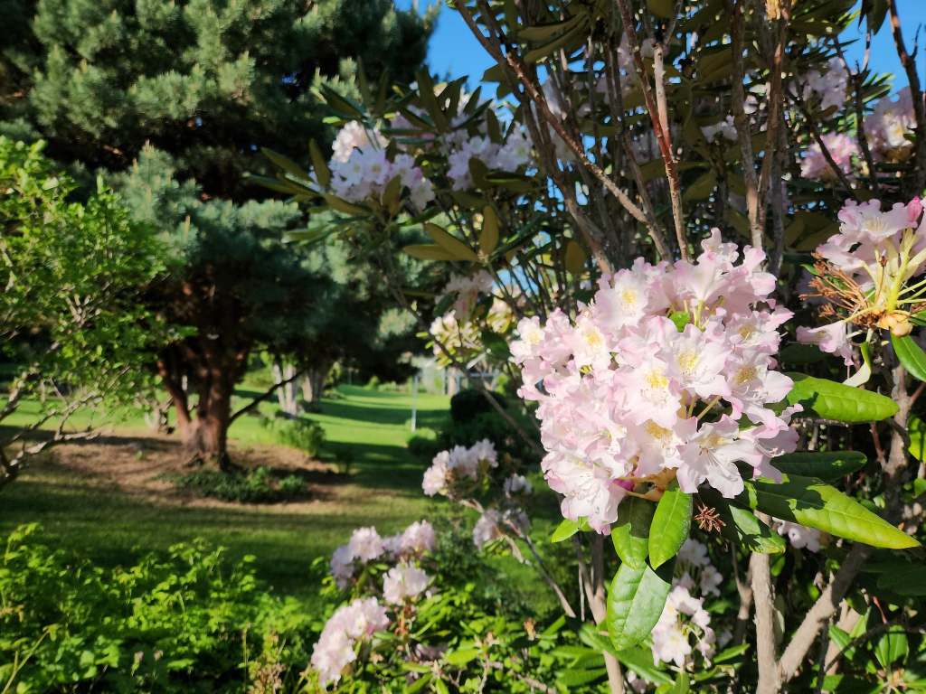 iN PHOTOS: Stunning Kelowna garden reopens to public after years of restoration | iNwine