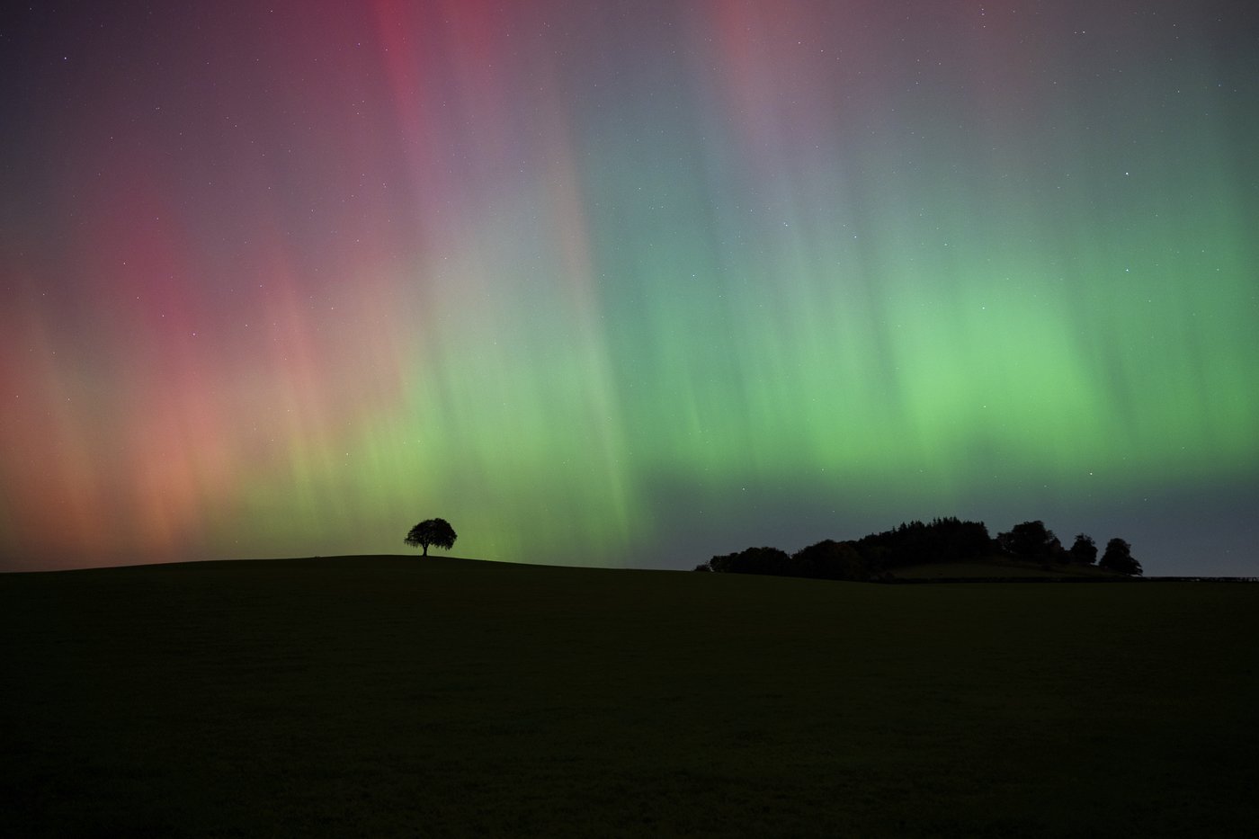 PHOTO COLLECTION: AP Top Photos of the Month, October 2024 | iNFOnews.ca