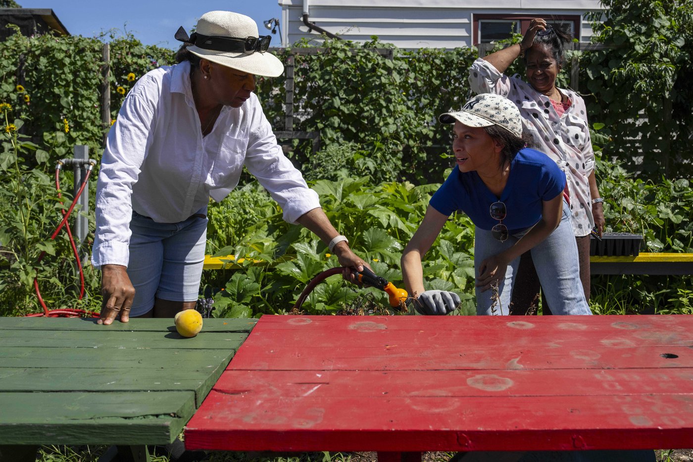 Green spaces are key to combating record heat in marginalized communities | iNFOnews.ca Green spaces are key to combating record heat in marginalized communities | iNFOnews.ca