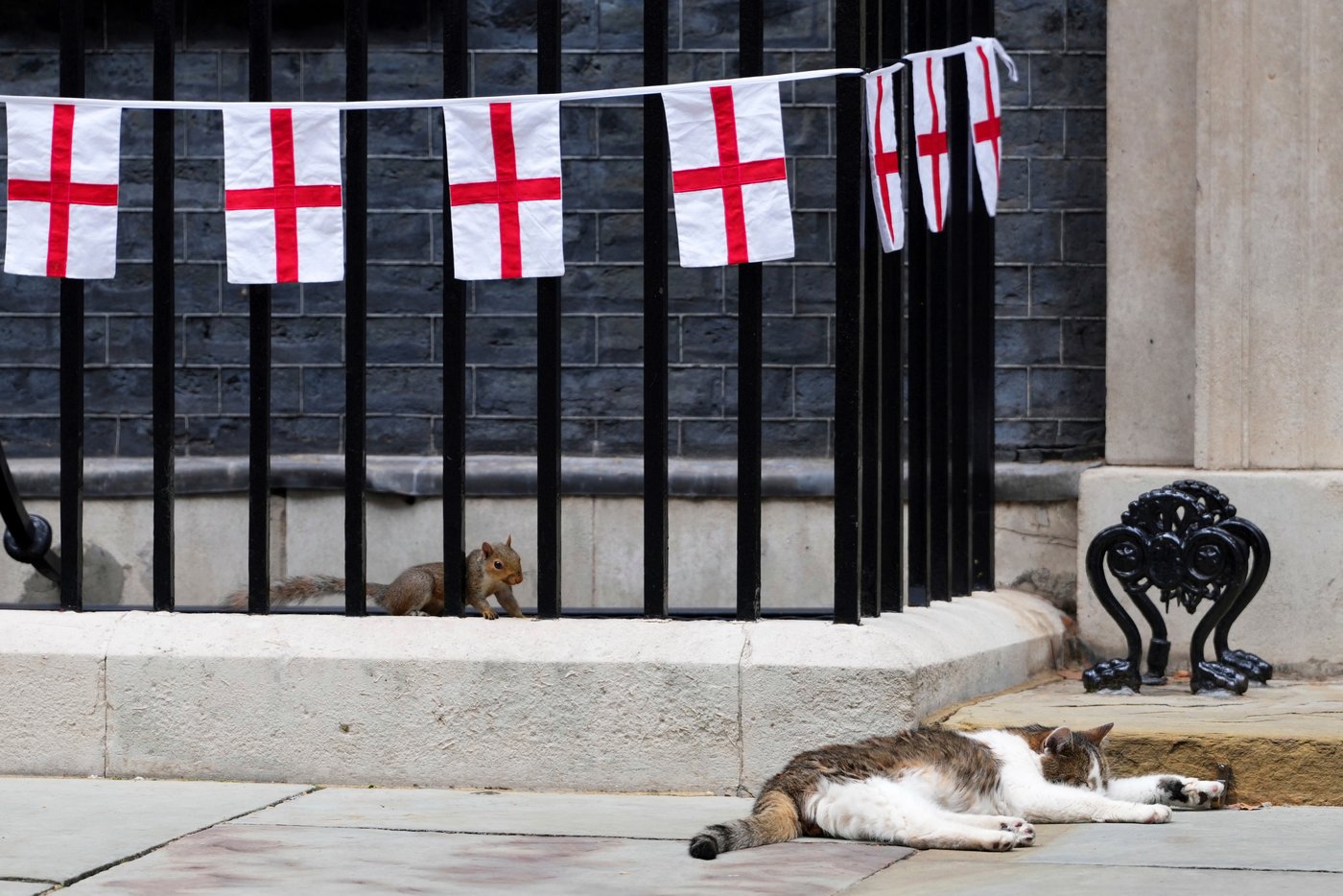 Larry the cat, Britain's Chief Mouser at 10 Downing Street for 15 years, in photos | iNFOnews.ca