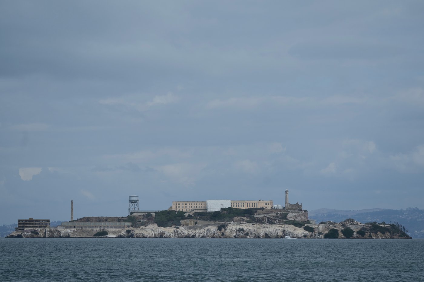 Male coyote swam 2 miles to Alcatraz Island, twice as far as biologists had expected | iNFOnews.ca Male coyote swam 2 miles to Alcatraz Island, twice as far as biologists had expected | iNFOnews.ca