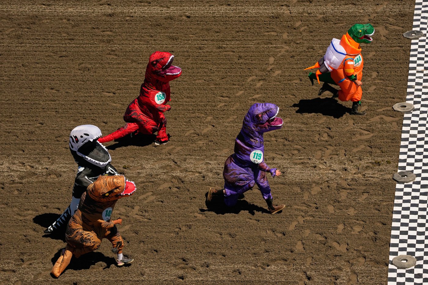 Inflatable dinosaurs race at Emerald Downs, in photos | iNFOnews.ca