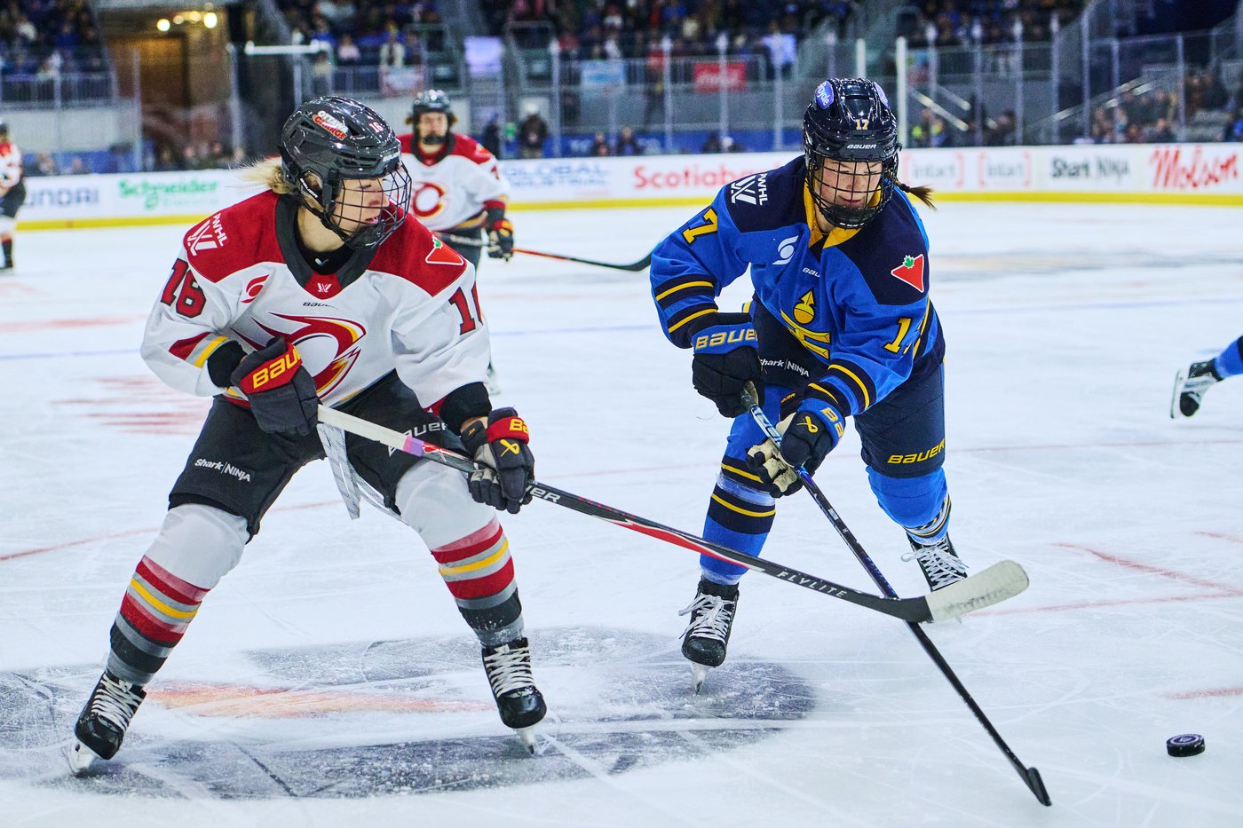 Spooner nets go-ahead goal to lift Sceptres past Charge 3-1 in PWHL action | iNFOnews.ca